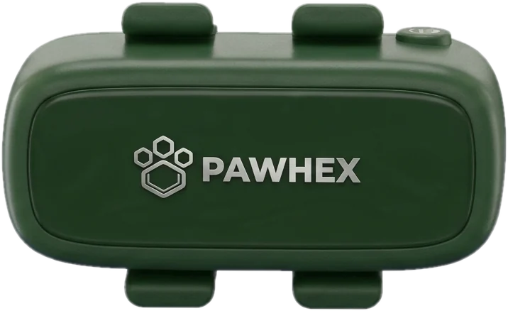 Rastreador PAWHEX verde